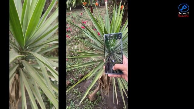 TECNO PHANTOM X2 FULL CAMERA REVIEW смотреть онлайн