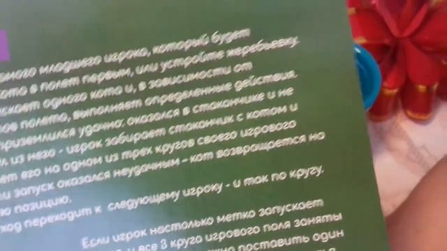 Обзор игры КОТОПУЛЬТА? смотреть онлайн