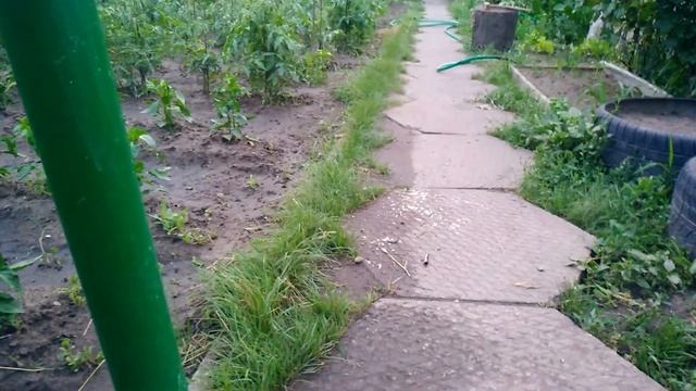 Дорожка без травы и без химии 1.5 месяца спустя, видео-опроворжение, доказательство!!! НАДОЕЛО!!! смотреть онлайн