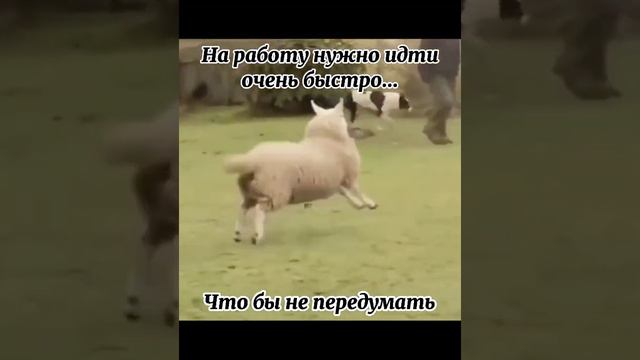 Обновления в мире