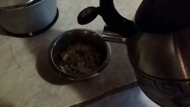 Кормление мальтийской болонки (мальтезе) смотреть онлайн