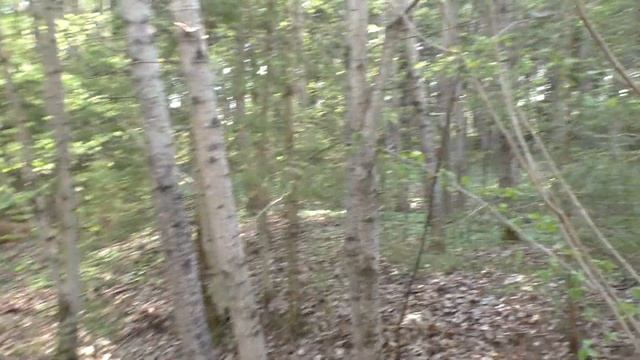 ес 32 (Богуши). Начало. Часть большой немецкой траншеи  (Т1)