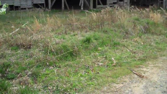 Days of Thunder Barn смотреть онлайн