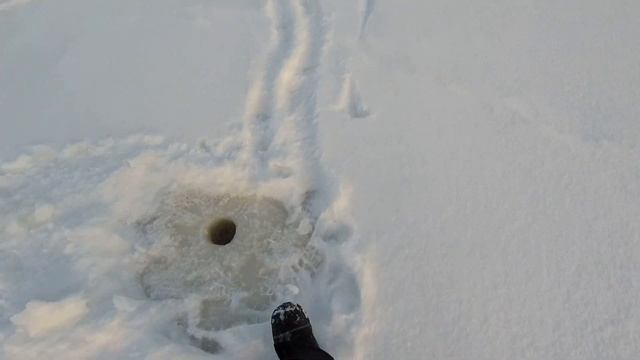 ЗИМНЯЯ ЛОВЛЯ БЕРША НА ТЮЛЬКУ | ЛОВЛЯ НА ПОСТАВУШКИ СО ЛЬДА смотреть онлайн