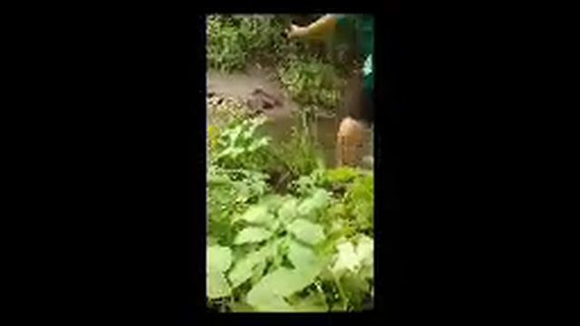 Зомби лето