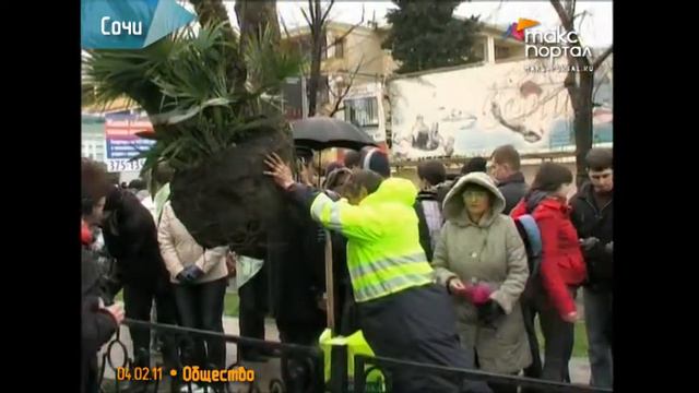 Стипендиаты фонда Потанина посадили в Сочи 10 пальм смотреть онлайн
