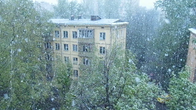 P1010442 смотреть онлайн