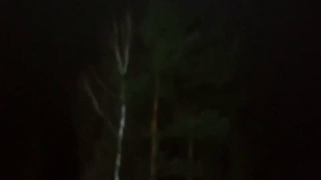 Новый год в Лосином острове)) 2021 смотреть онлайн