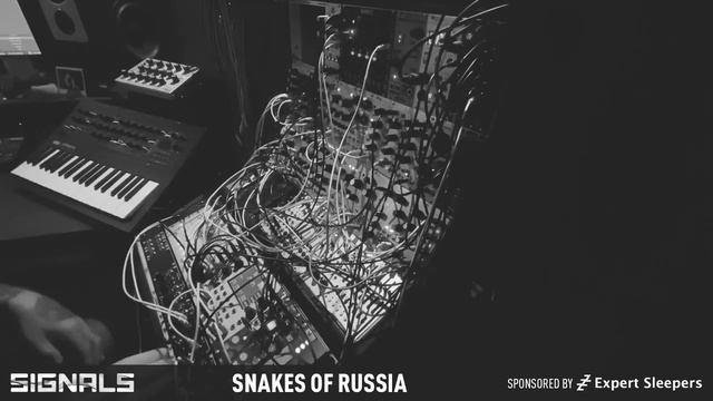 Snakes of Russia - New York Modular Society Signals Performance - 5.23.20 смотреть онлайн