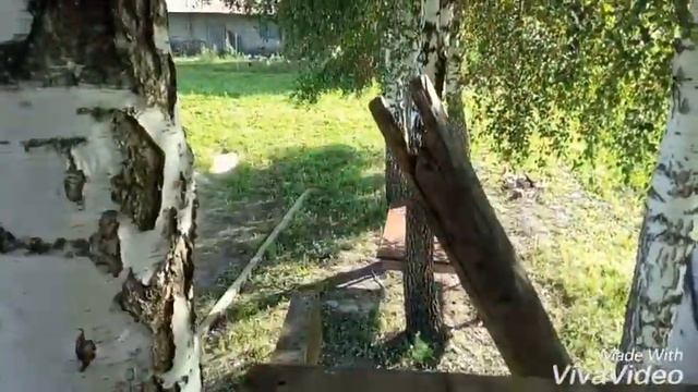 Рум Тур нашего домика на дереве//Анастасия Влог//