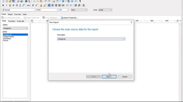 Report Wizard in ReportWorkshop for Delphi (Part I) смотреть онлайн