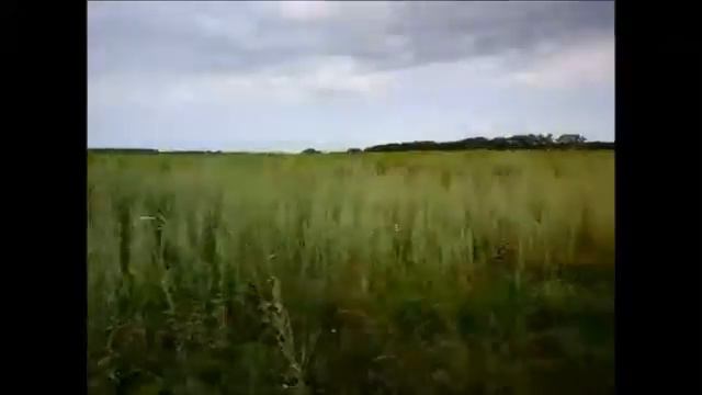 12 #Петуховский район, лето, 2014 г смотреть онлайн