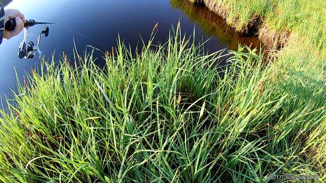 Реальная рыбалка. Щучья поклевка. Весна-май. смотреть онлайн