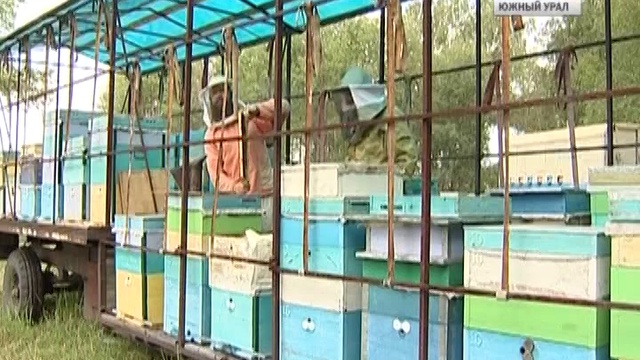 Закон о пчеловодстве