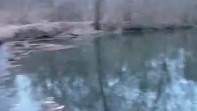 Эмо-бои прикалываются....хД.flv смотреть онлайн