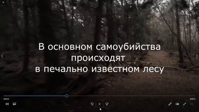 Курс обучения съёмки кино. Урок 1. Знакомство смотреть онлайн