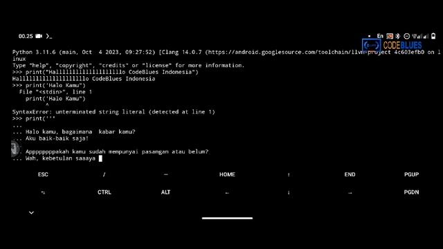 (Eps.03) Cara Kerja Bahasa Python~ Belajar Python [Beginner] смотреть онлайн