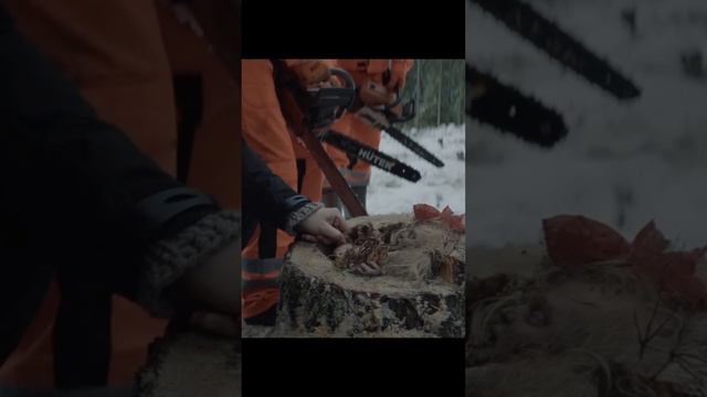 Рабочи не ожидали увидеть такое в лесу.....