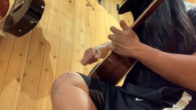 Mitchell 12 string acoustic (2) смотреть онлайн