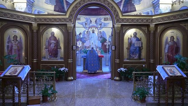 Прямая трансляция: Божественная литургия. Воскресенье 5 декабря 2021. смотреть онлайн