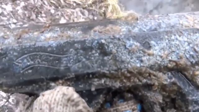 ВОТ ЭТО ПОКИДАЛИ МАГНИТ ЛУЧШИЕ НАХОДКИ смотреть онлайн