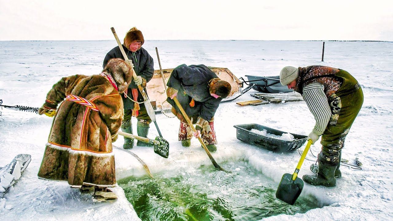Рыбный промысел Карского моря | Полярные истории смотреть онлайн