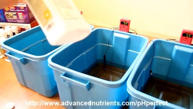 Advanced Nutrients: PH Perfect Demonstration
