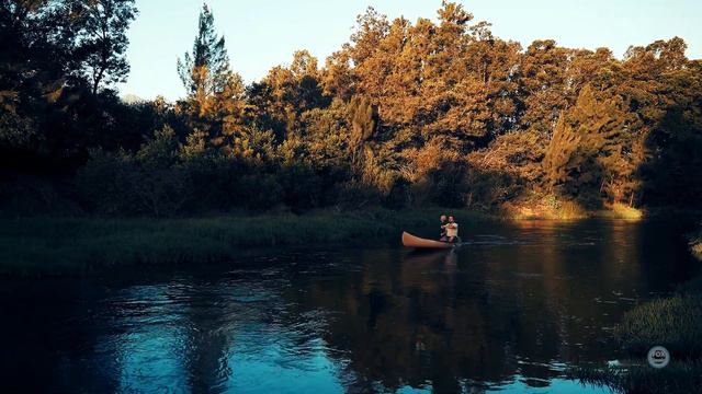 Scarlatti Keyboard Sonata K 275 (Music Video) Piano Rendition смотреть онлайн