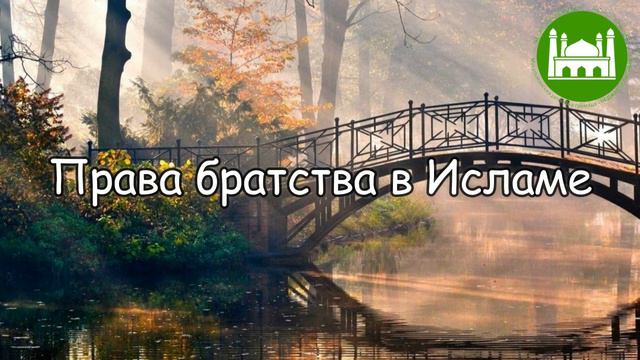 🔉Хутба №127 - 2 Права братства в Исламе | Абу Яхья Крымский смотреть онлайн