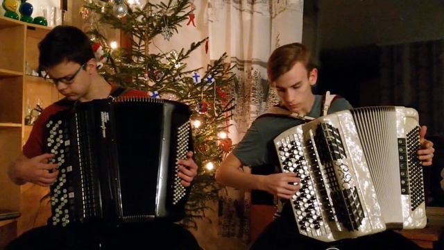 Walking In The Air - Howard Blake (accordion cover) смотреть онлайн