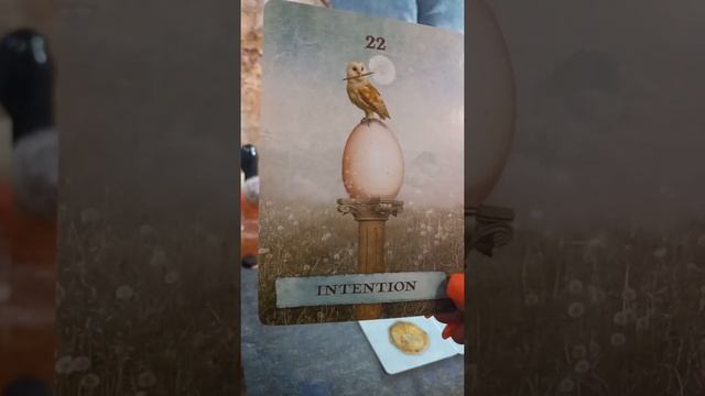 what the Deck #7 Enchanted Map смотреть онлайн