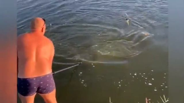 КАК ЛОВЯТ РЫБУ У НАС НА КУБАНИ!!! видео от товарищей смотреть онлайн
