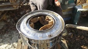 Перетопка воска Сколько в мерве воска после "Лисицы" Центрифуга или воскопресс