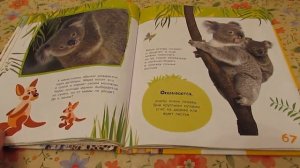 Энциклопедия животных для малышей Росмэн