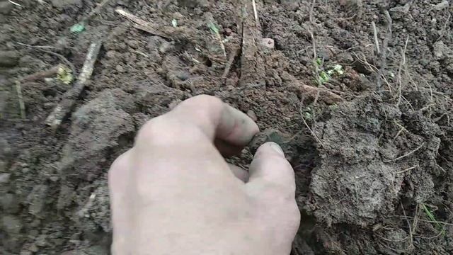 Не много дел по дому! Коп в огороде с металлоискателем! смотреть онлайн