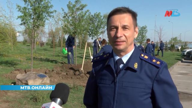 Сотрудники прокуратуры высадили в пойме Царицы аллею деревьев смотреть онлайн