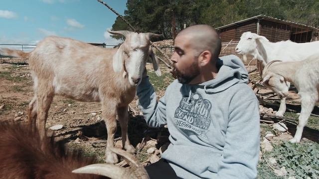 SHAN - SOMOS TODOS (VIDEOCLIP OFICIAL) смотреть онлайн