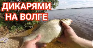 Рыбалка с Ночёвками и Отдых Дикарями на Волге