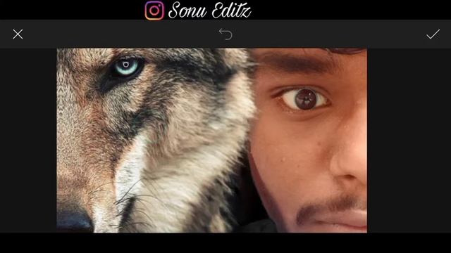 PicsArt Editing Wolf Photoshop // Photo Editing Wolf Fantasy wolf PicsArt Photo Editing Sonu Editz смотреть онлайн