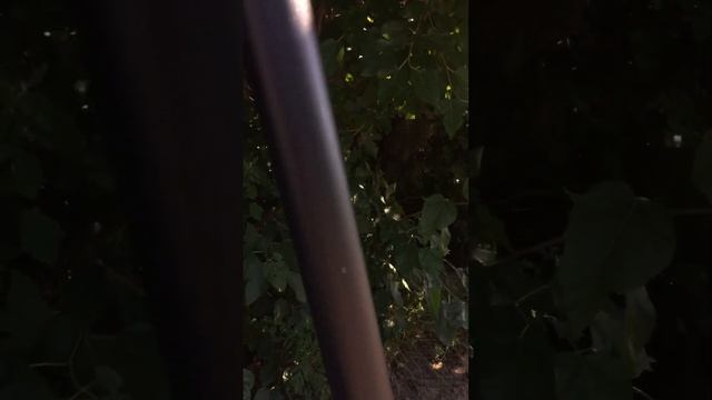 Електро самокат KUGO M365 PRO смотреть онлайн