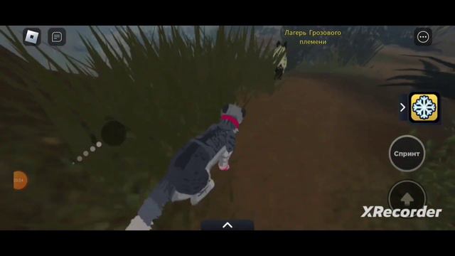 обнова к 14 февраля в WCUE?! ОТВЕТ ТУТ! новые пассы! обновление на день влюбленных в котах Воителях смотреть онлайн