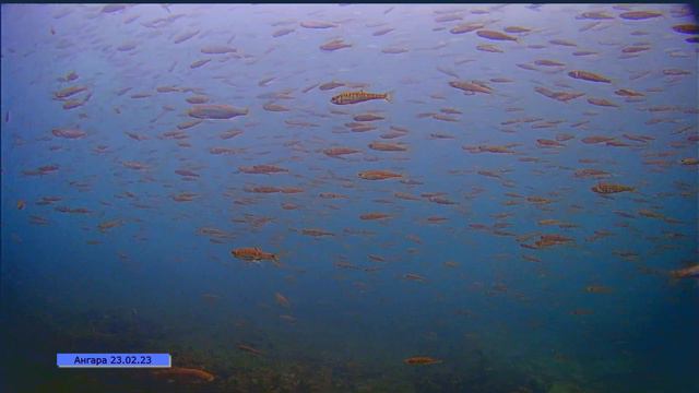 Глухозимье на Ангаре смотреть онлайн