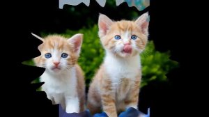 Детская песенка "Настоящий друг"😇