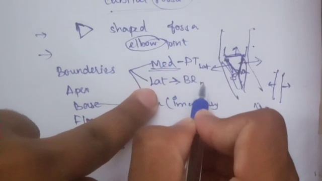 Cubital Fossa | Anatomy |Explanation In Tamil