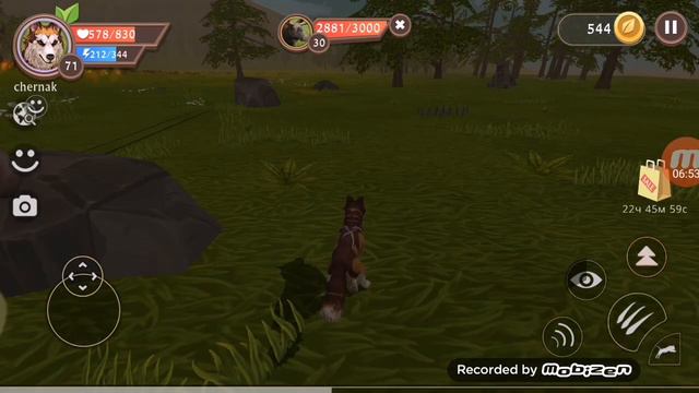 Обнова вайлд крафт смотреть онлайн