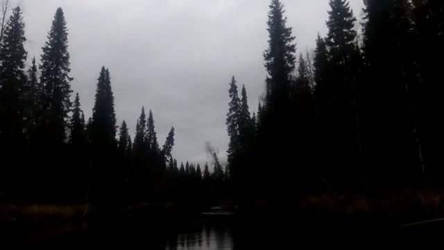 Водомет карась р. Кепина смотреть онлайн