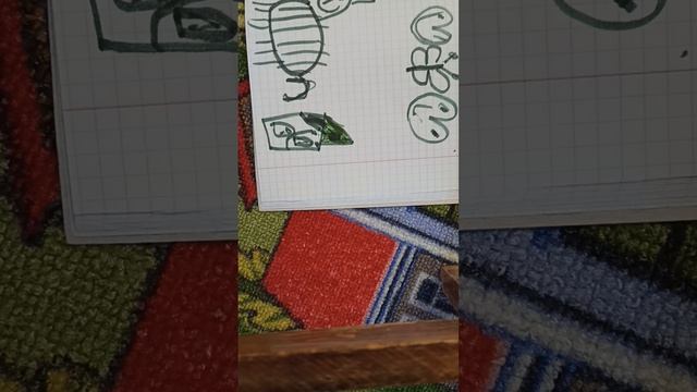 Рисуем с Евой Единорожкиной ? смотреть онлайн
