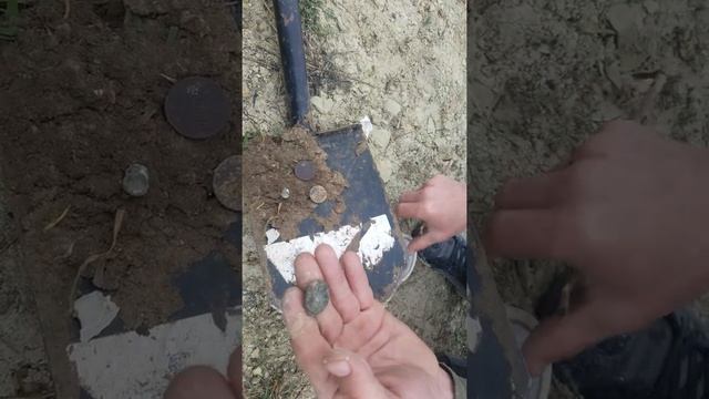 Тест эквинокс 800 на античные монеты