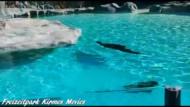 "Siam Park the Water Kingdom" Teneriffa Impressions Video 2018 смотреть онлайн