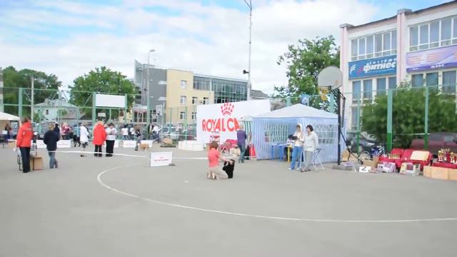 2011.06.04 "Встречи в Вологде" смотреть онлайн